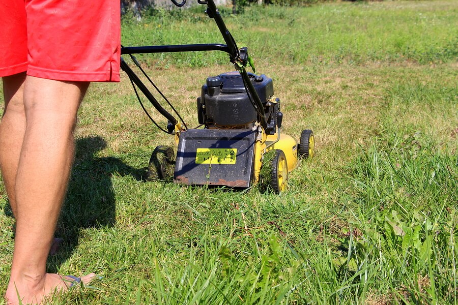 overmowing lawn